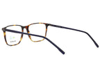 MO126393 - Havana Blu — Havana