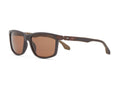 DS 2499 - Brown — Brown