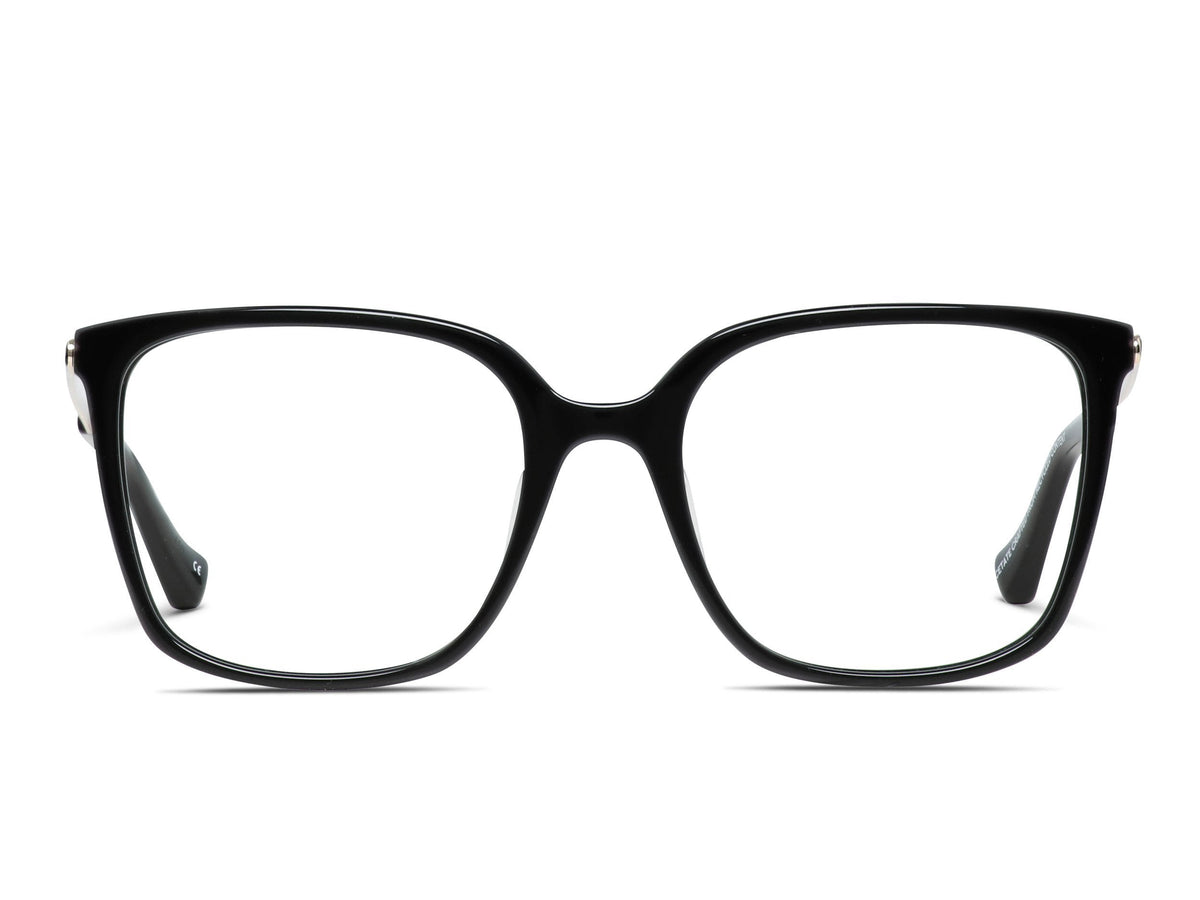 FBM1009 — 001