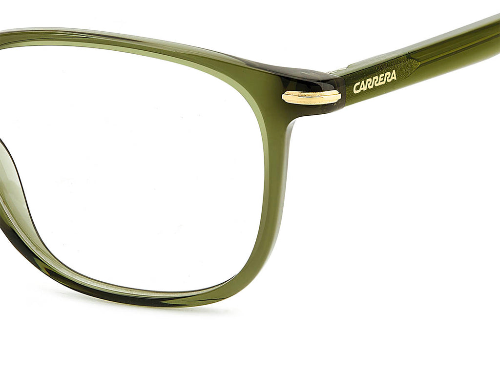 CARRERA 348 TBO