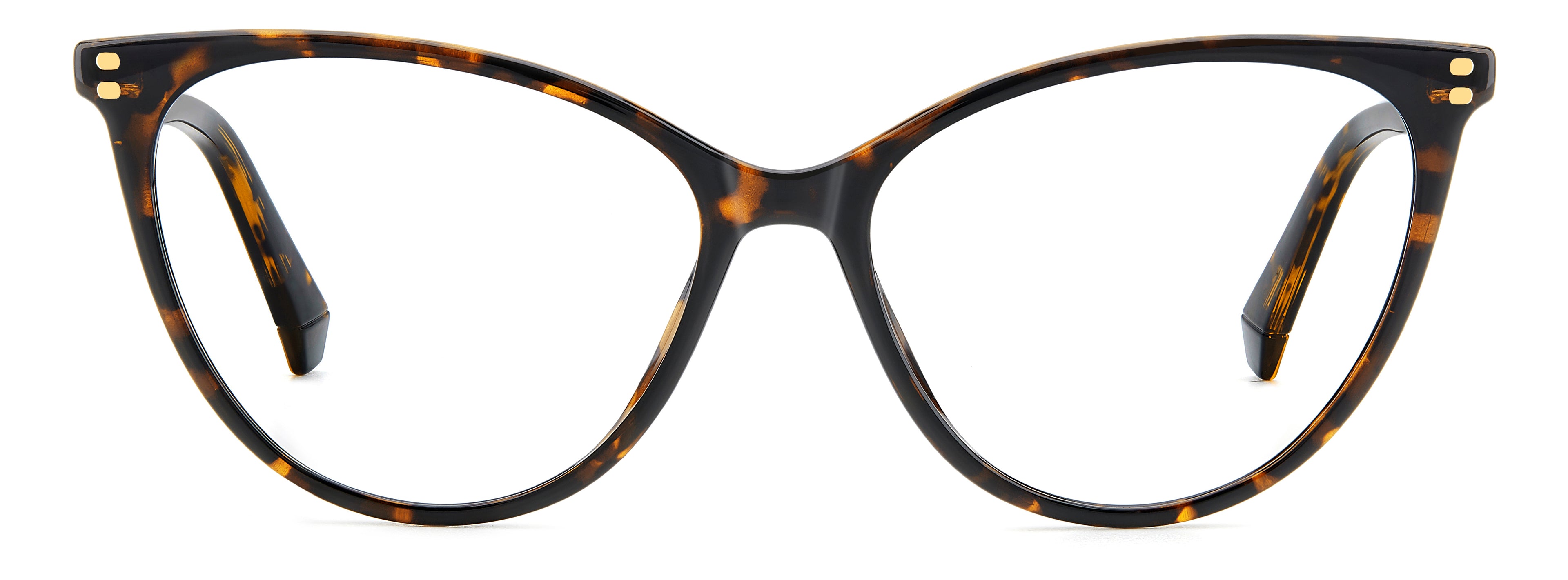 Polaroid - PLD D551 - Eyeglasses - Frames