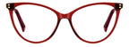 Polaroid - PLD D551 - Eyeglasses - Frames