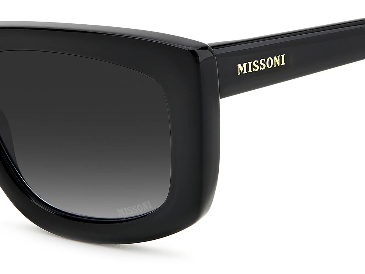 MIS 0111/S 807
