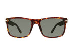 SPECULATOR/S FY6
