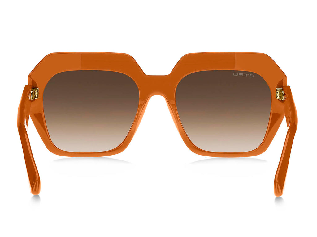 ETRO 0043/S IXN