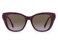 ETRO 0062/F/S B3V