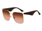 ETRO 0110/S DDB