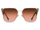 ETRO 0110/S DDB
