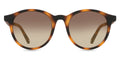 Ted Baker TB1503 - Tortoiseshell