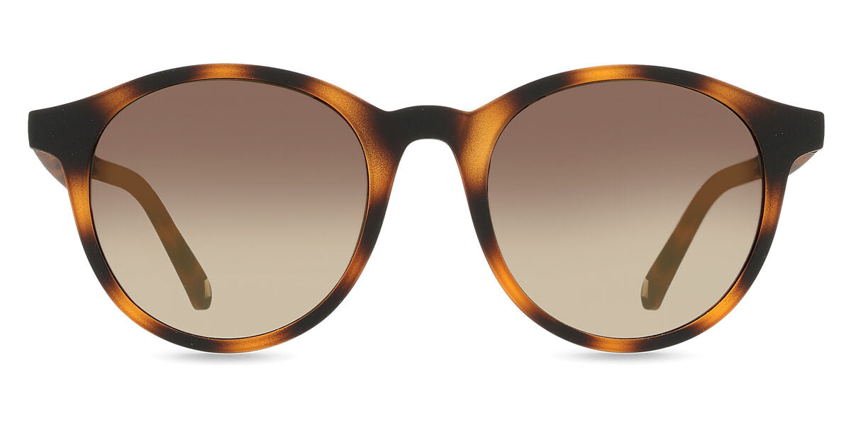 Ted Baker TB1503 - Tortoiseshell