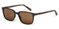 Ted Baker TB1529 - Black