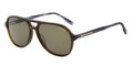 Hackett HSK3341 - Brown