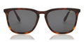 Hackett HSB1146 - Havana