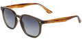 Ted Baker TB1655 - Transparent Khaki Brown