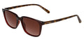 Ted Baker TB1529 - Transparent Red