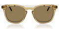 Ted Baker TB1694 - Transparent Brown