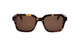 Scotch & Soda SS8008 - Dark Tortoise