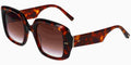 Ted Baker TB1730 - Tortoise
