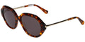 Ted Baker TB1731 - Tortoise