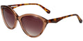 Ted Baker TB1735 - Transparent Brown