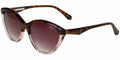 Ted Baker TB1735 - Tortoise/Transparent Brown