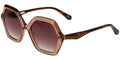 Ted Baker TB1736 - Transparent Brown