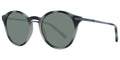 Ted Baker TB1632 - Grey Tortoise