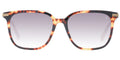 Scotch & Soda 7032 - Dark Tortoise
