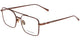 Scotch & Soda 2010 - Bronze Brown