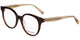 Scotch & Soda 3036 - Dark Tortoise