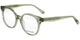 Scotch & Soda 3036 - Transparent Green