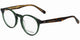 Scotch & Soda 4034 - Transparent Forest Green
