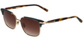 Scotch & Soda 8014 - Gold Top Green