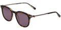 Scotch & Soda 8024 - Dark Tortoise On Transparent Grey