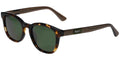 Pepe Jeans PJ7483 - Brown Tortoise