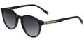 Hackett 3361 - Blue On Tortoise