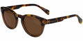 Ted Baker TB1752 - Brown/Tortoise